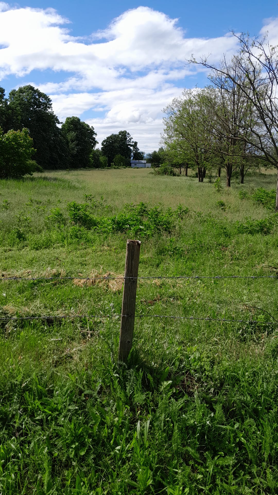 parc fotovoltaic Prahova